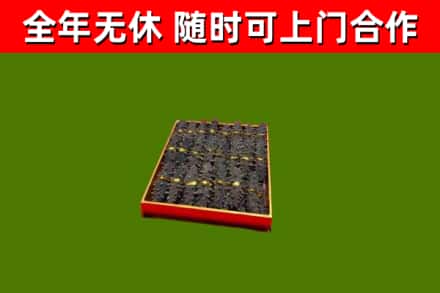 林州市回收海参